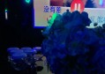 杭州厂区聋人求职：制造业就业新机遇